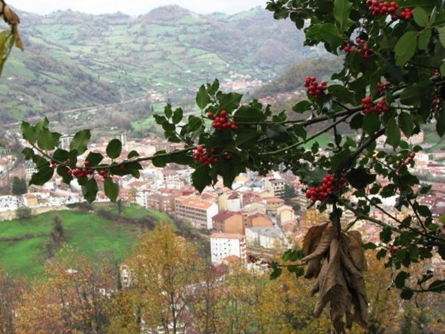 Hotel Ruta De La Plata De Asturias Pola de Lena Buitenkant foto