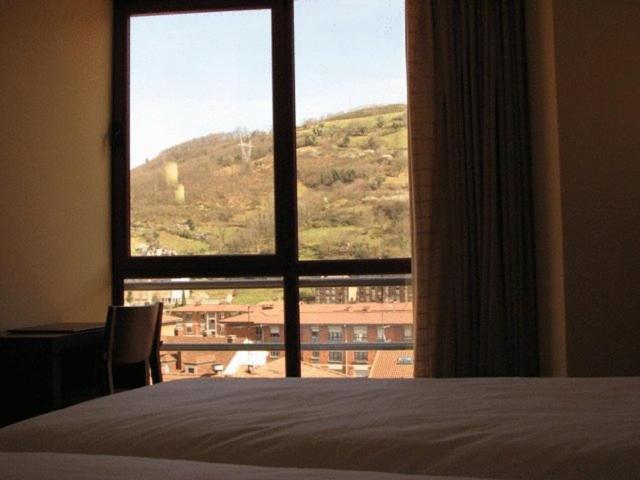 Hotel Ruta De La Plata De Asturias Pola de Lena Buitenkant foto